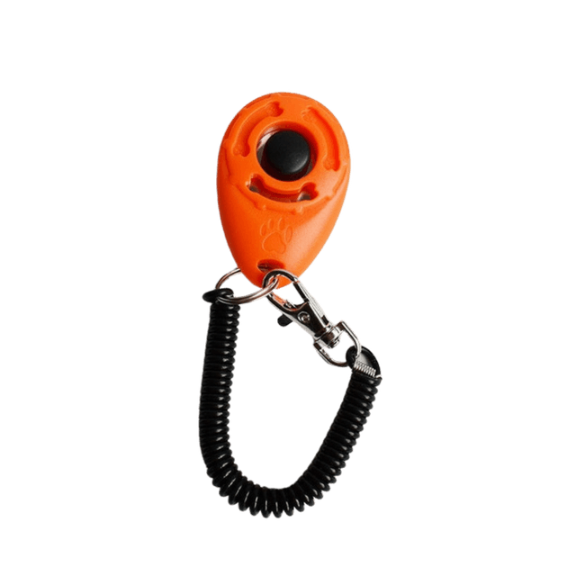 Training Clicker 